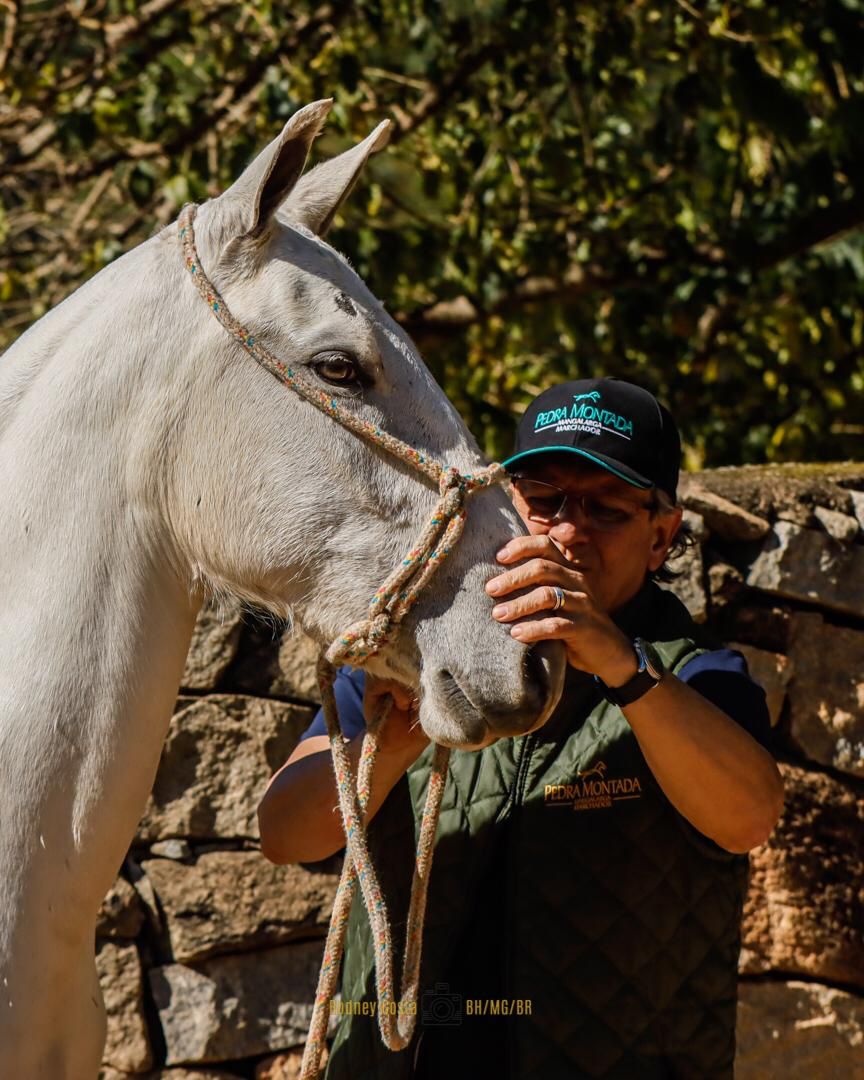 Haras Pedra Montada
